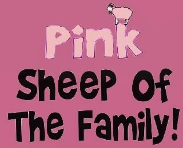 Pink Sheep